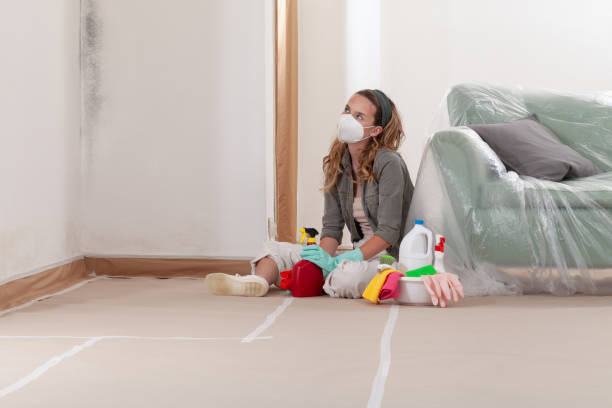 Reliable Mold Cleanup contractor in Arlington, TX by WQB Mold Removal